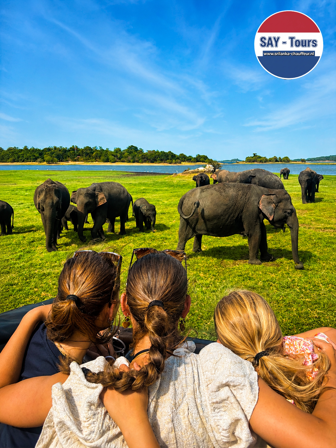 Elephants of Sri Lanka