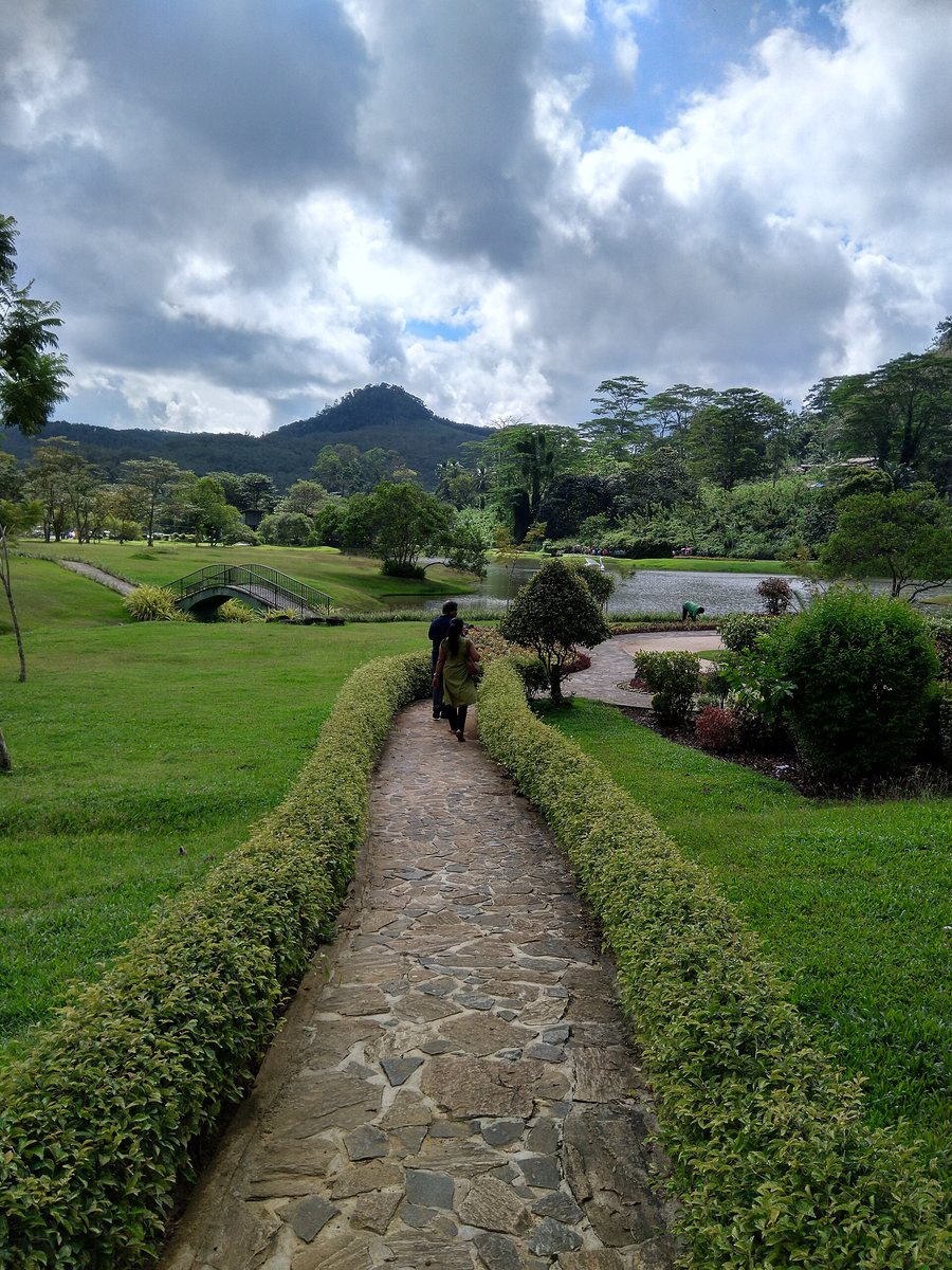 Green landscape at Seethawaka Wet Zone Botanic Gardens in Sri Lanka