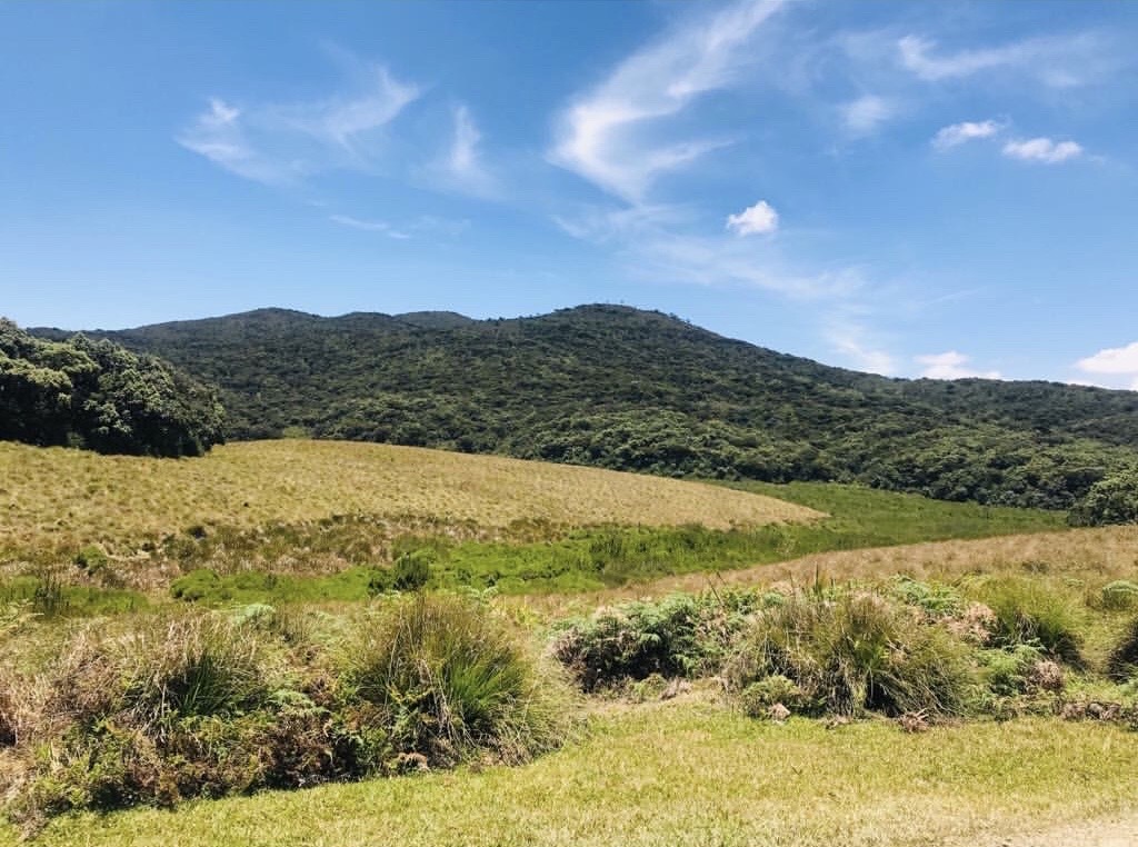 The open grassland and cloud forest of Horton Plains National Park